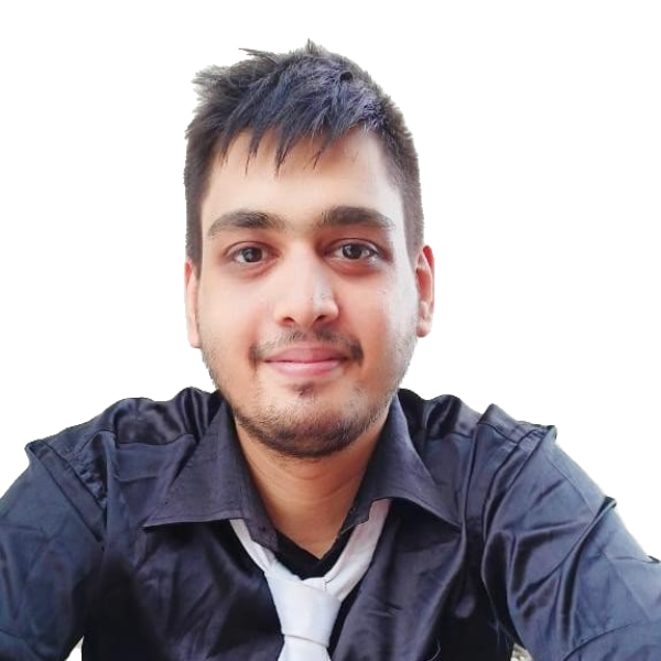 Developer